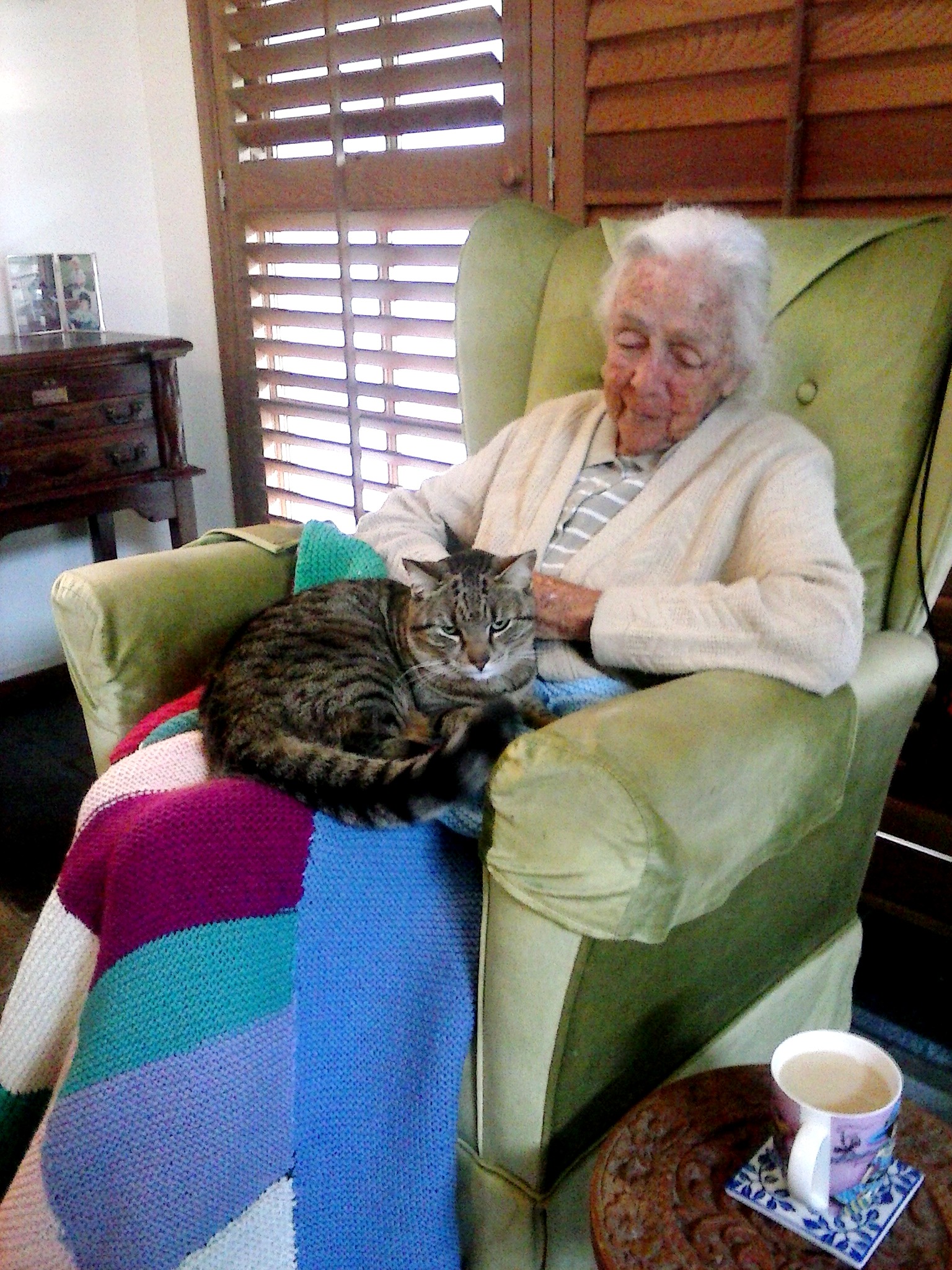 一位年长的妇女坐在椅子上，一只猫在她腿上。